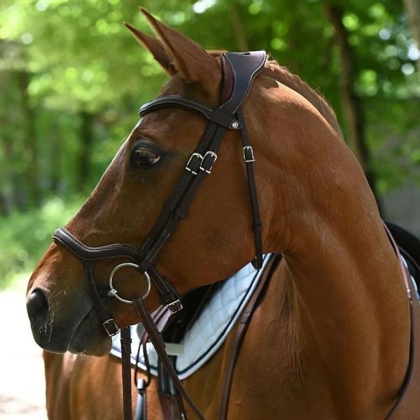 Antares Precision Y noseband anatomic bridle
